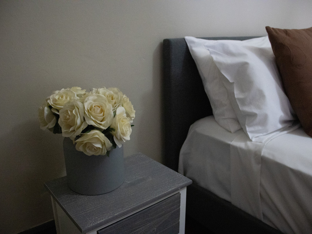 Bellbird Hotel主图