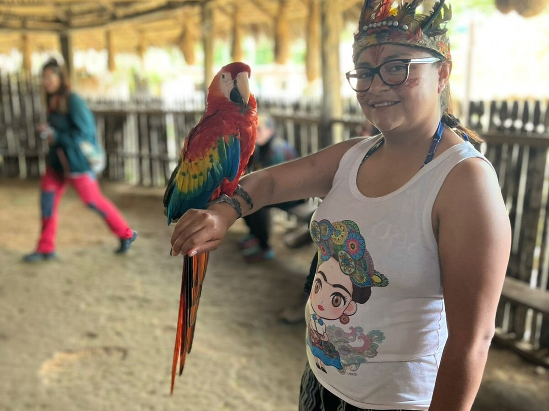 Cascada Hola Vida-Puyo必去景点