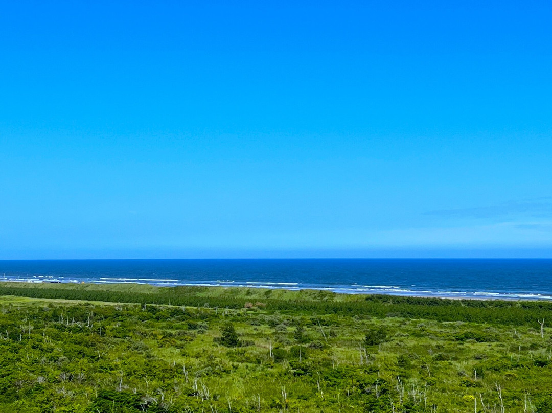 Luana Hasunuma Hotel&cafe主图