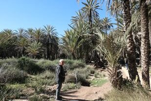 Taxi Arganier Essaouira Marrakech-索维拉必去景点
