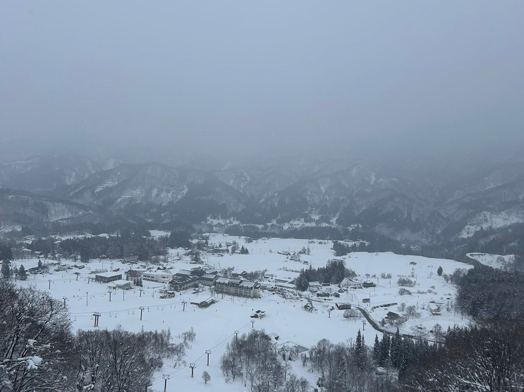 白马村酒店主图