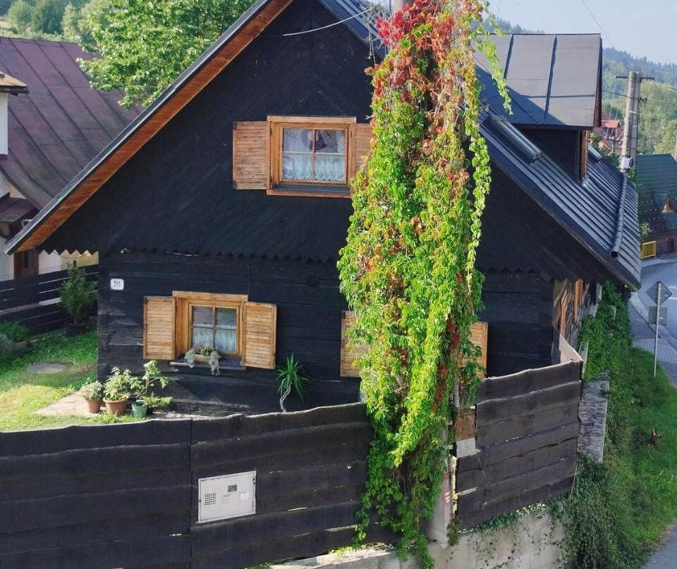 Drevenica u Holtana