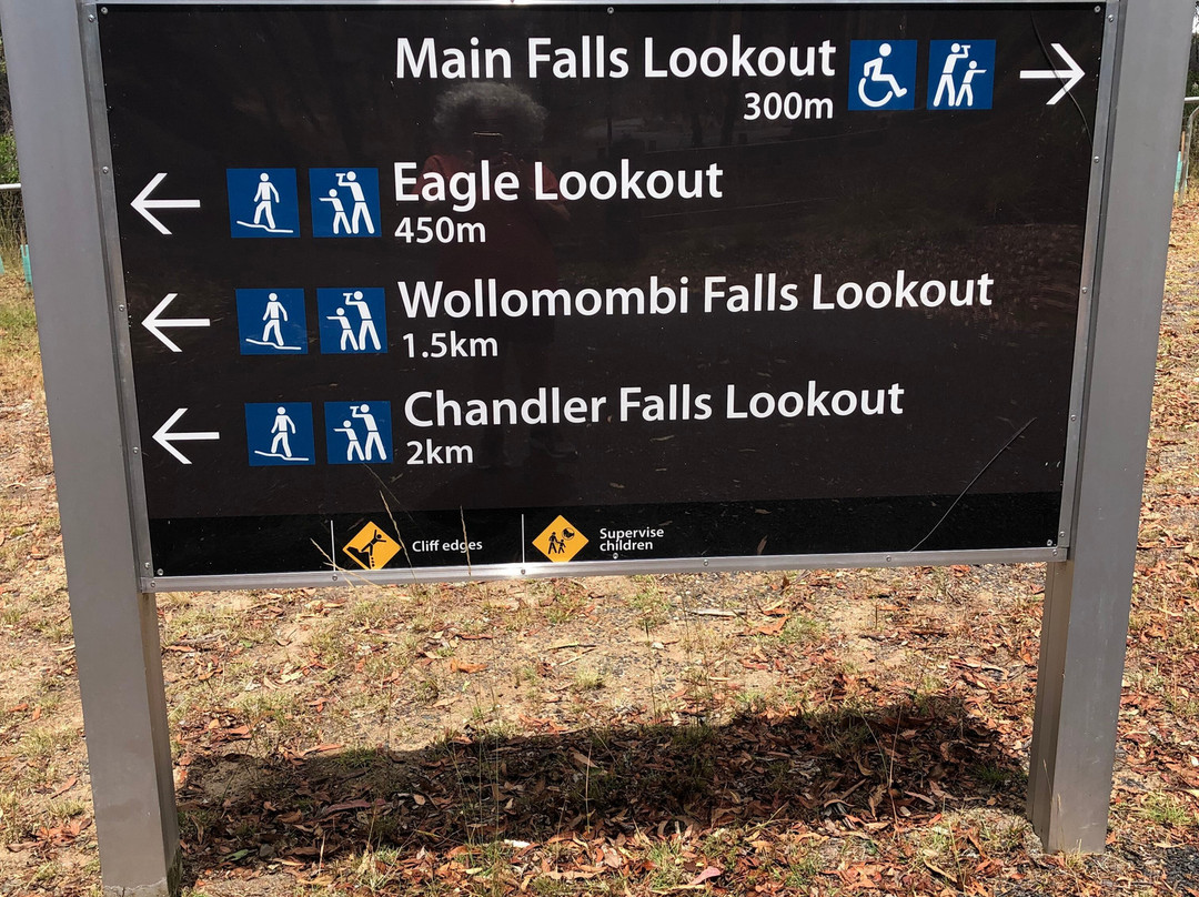 Wollomombi Falls景点图片