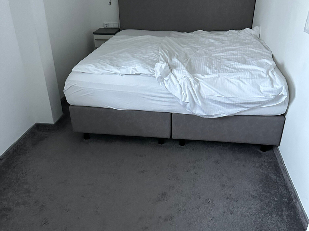 Hotel Villa Belvedere主图