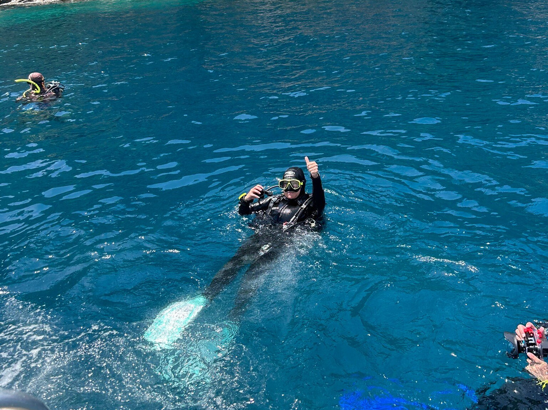 Dive Zone Whitianga-菲蒂昂格必去景点