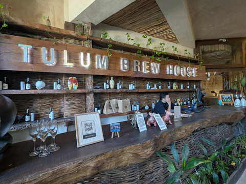 Ritual Sagrado en Tulum: Chamán, Cenote Secreto y Cata Mística-图伦必去景点