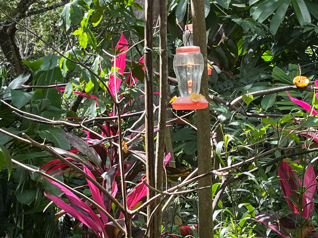 Adventure Farm and Nature Reserve-多巴哥必去景点