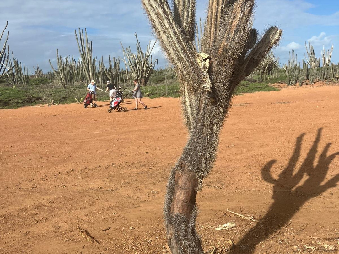Bonairean Golf Club Piedra So-Kralendijk必去景点