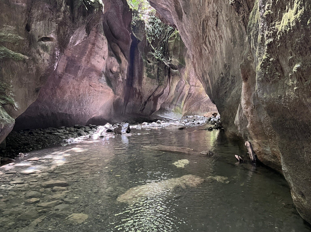 Patuna Farm Adventures景点图片