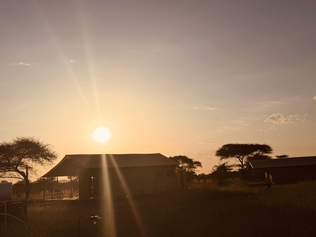 Tamu Tamu Serengeti Camp