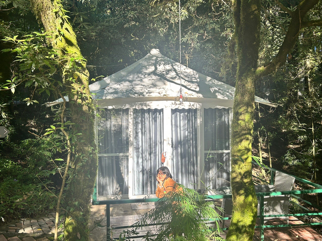 Ayar Jungle Resort主图