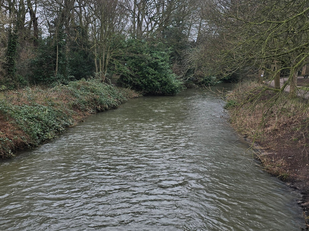 Kings Park-Retford必去景点