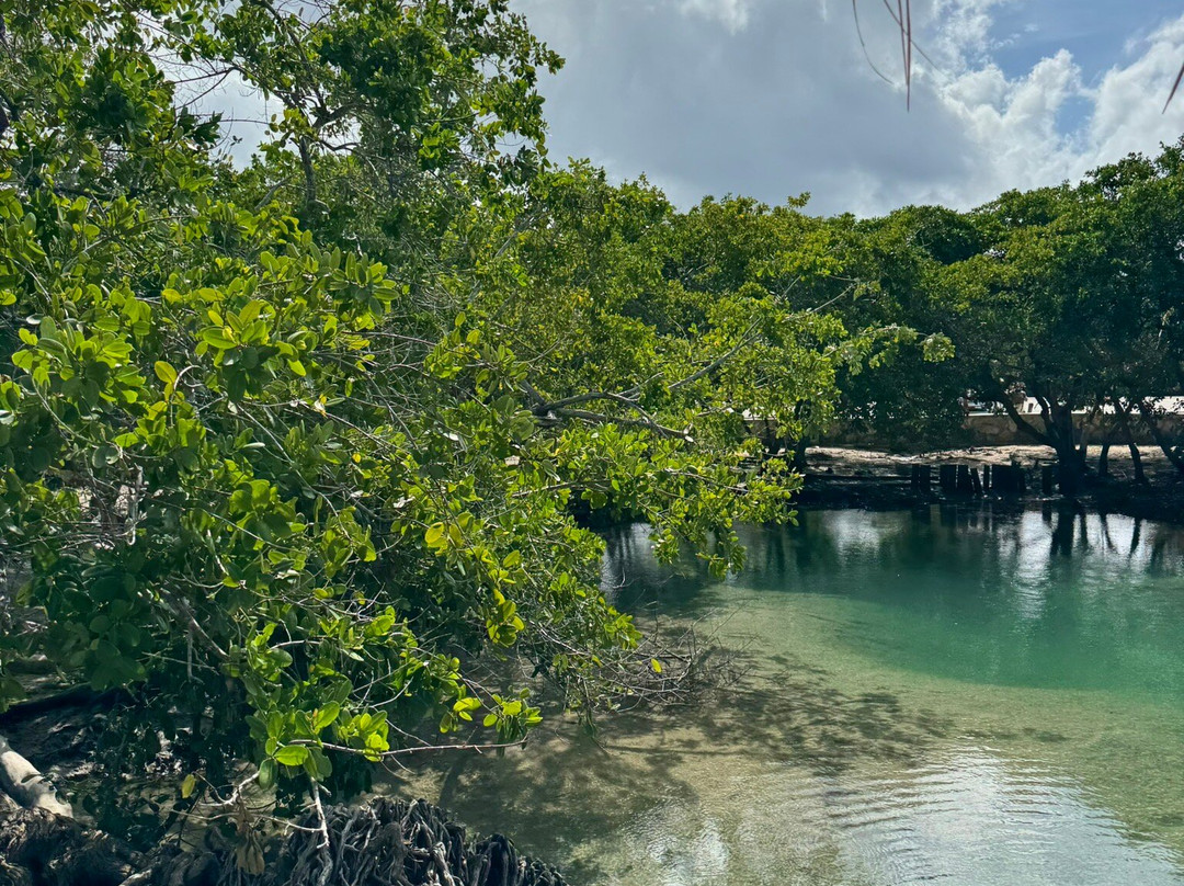 MAYA QUEST Travel & Tours-巴利亚多利德必去景点