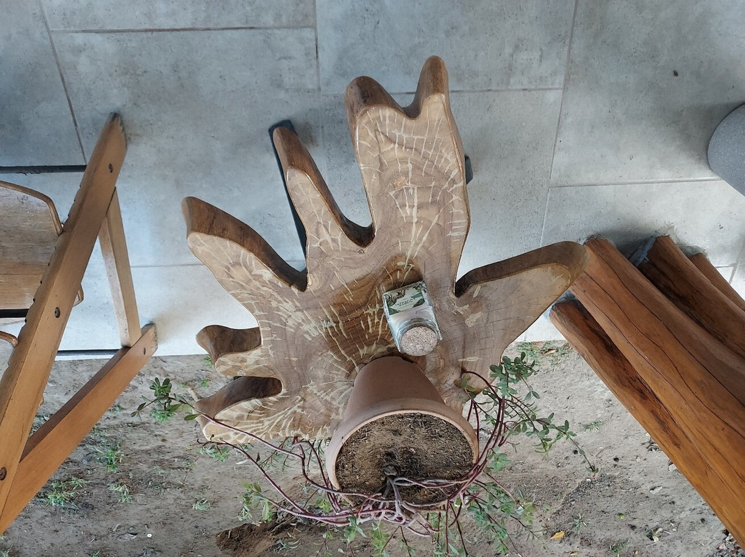 El Gecko Hotel主图