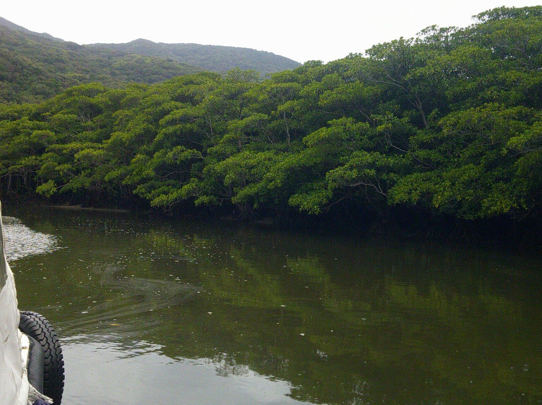 Nakama-river Protected Region景点图片