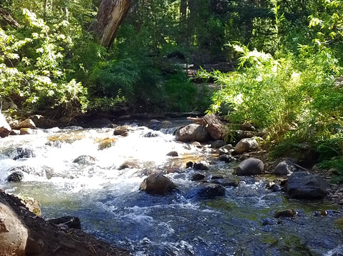 Parque Municipal Llao Llao-圣卡洛斯-德巴里洛切必去景点