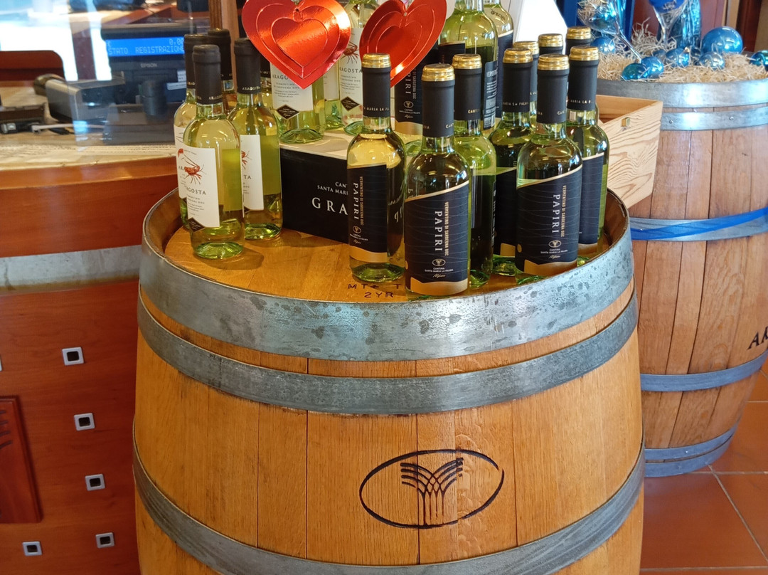 Cantina Santa Maria La Palma-阿尔盖罗必去景点