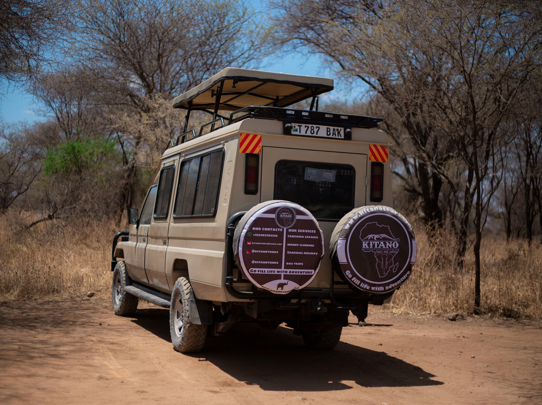 Tanzania Joining | Group Sharing Safari Tour | KITANO TOURS AND SAFARIS景点图片