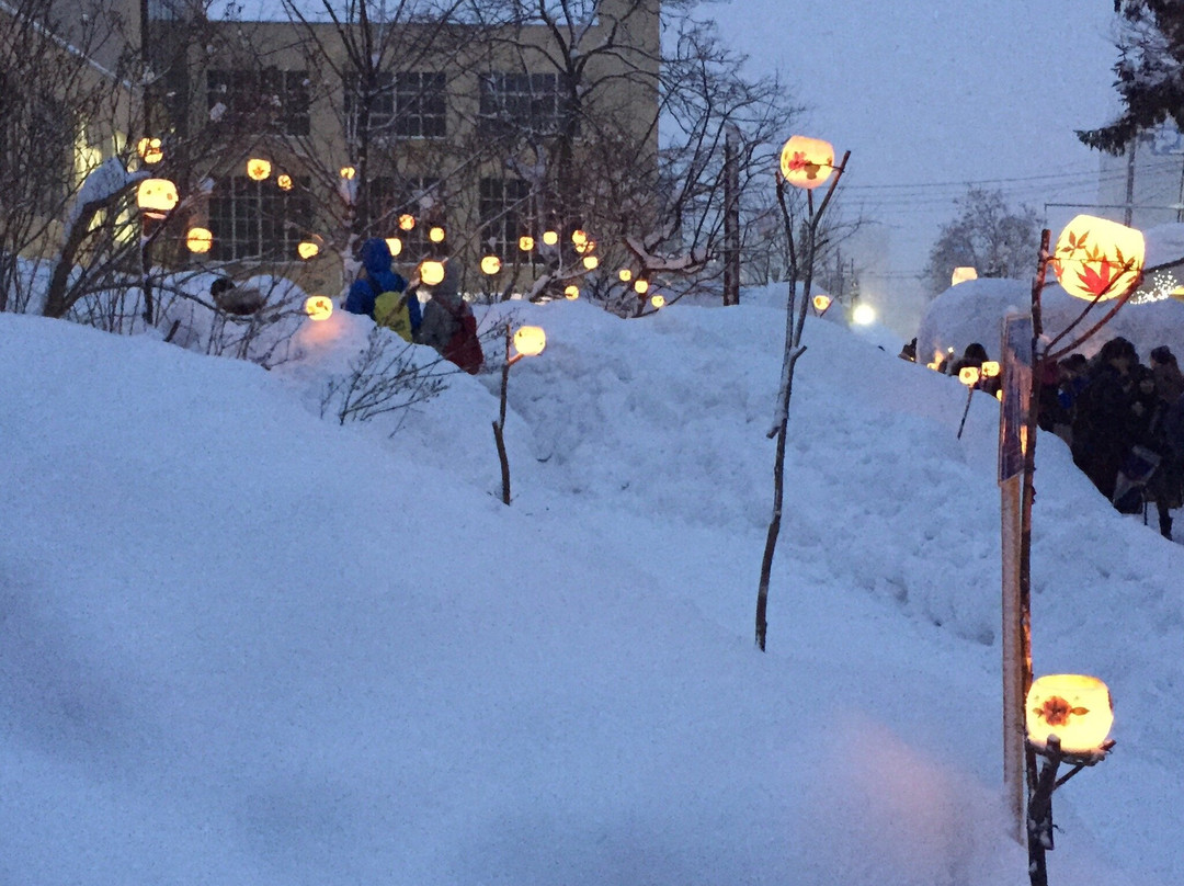Otaru Snow Light Path-小樽市必去景点