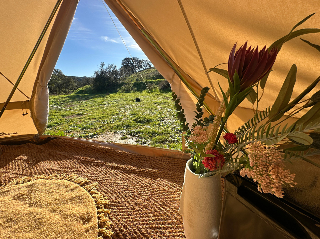 Tribu Lodge
