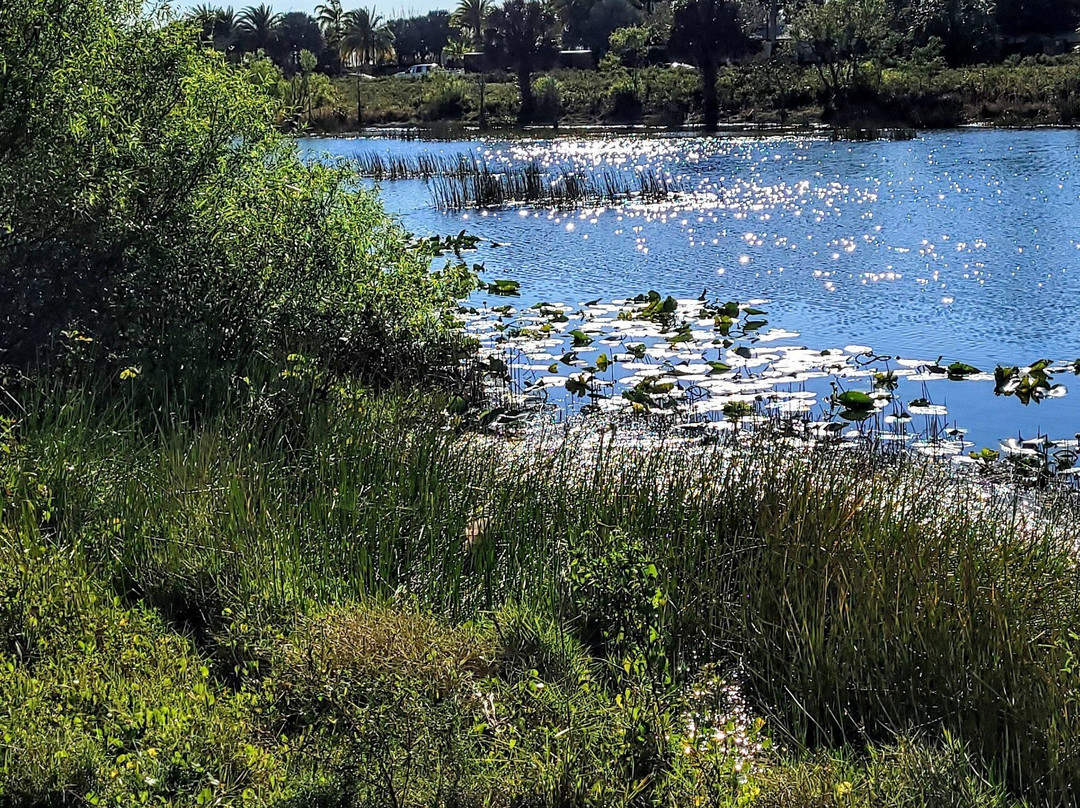 Burt Aaronson South County Regional Park-博卡拉顿必去景点