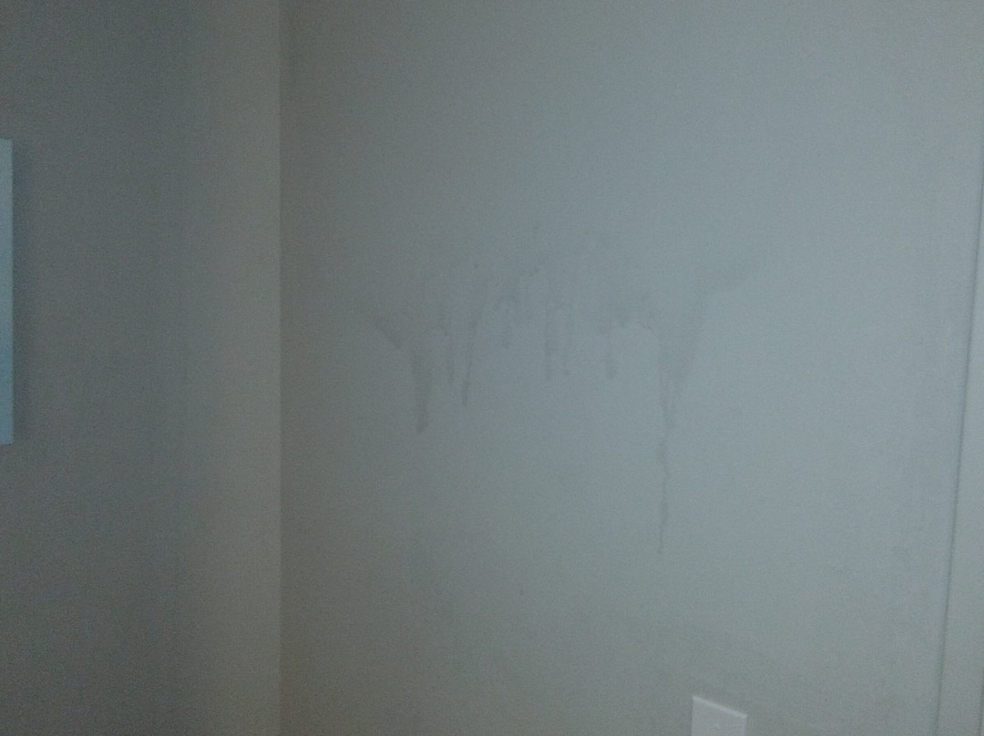 La Quinta Inn & Suites by Wyndham Cincinnati Airpt Florence主图