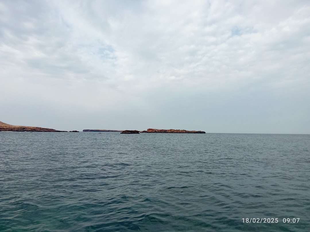Pearl Dimaniyat Diving Center景点图片