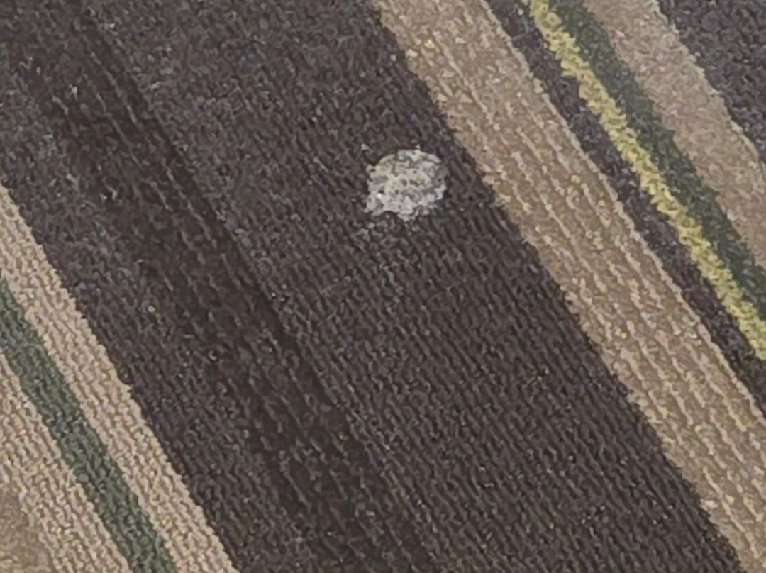 波士顿内蒂克汉普顿酒店主图