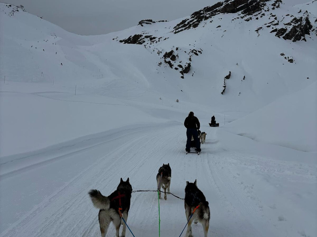 Alpi Traineau景点图片