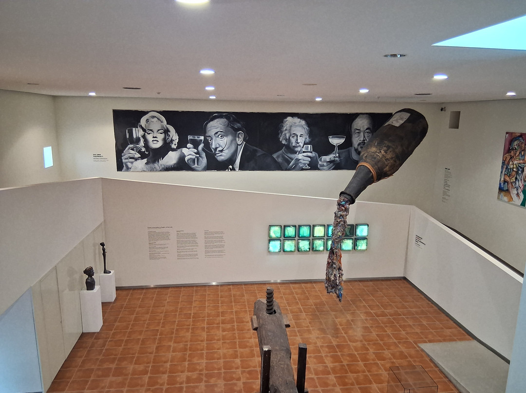 Museu Do Vinho Da Bairrada景点图片