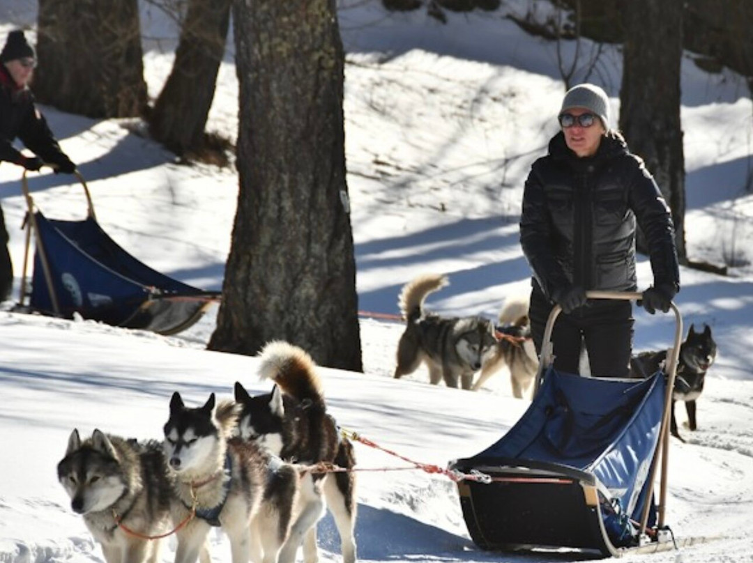 The Husky Experience Sestriere-Sestriere必去景点