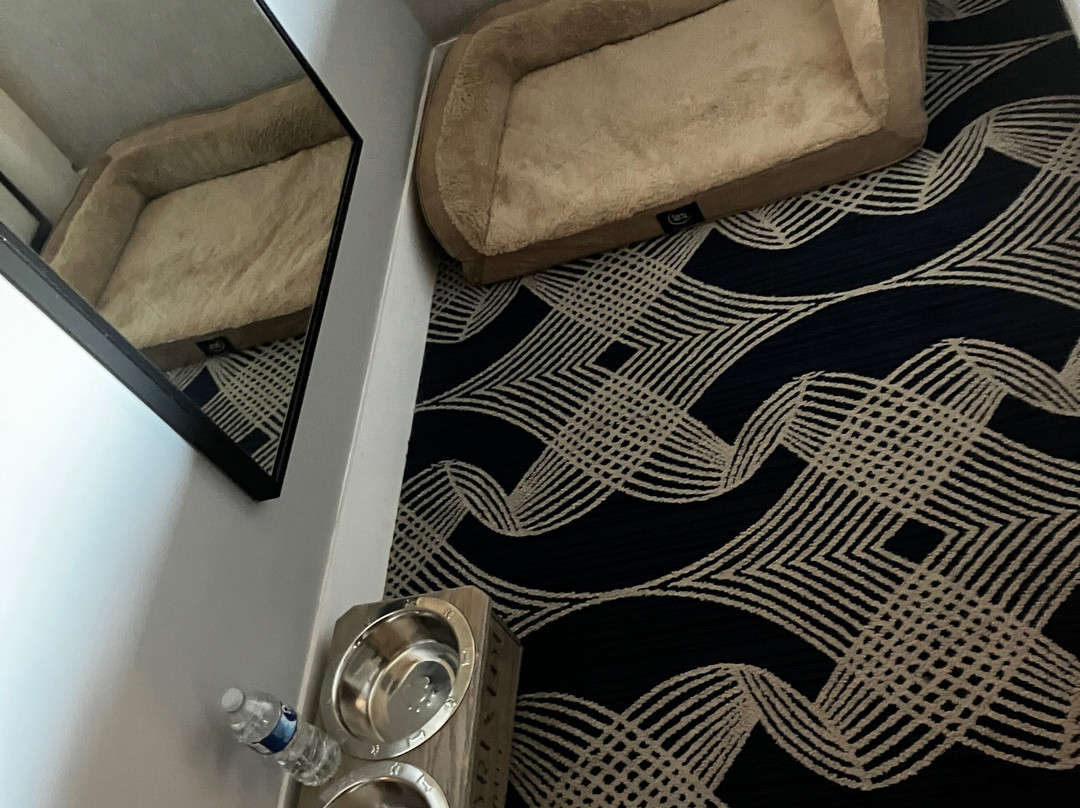 The Bristol Hotel主图