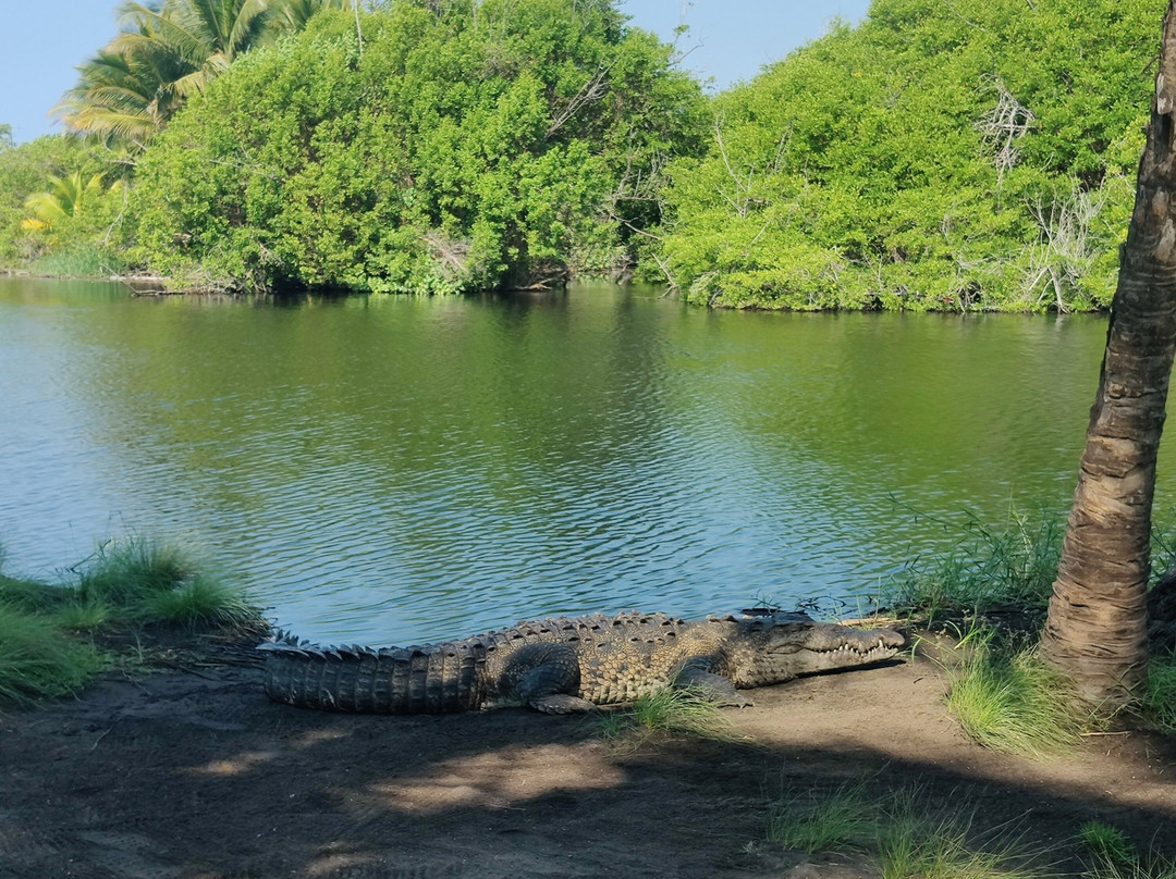 Laguna Ventanilla-Mazunte必去景点