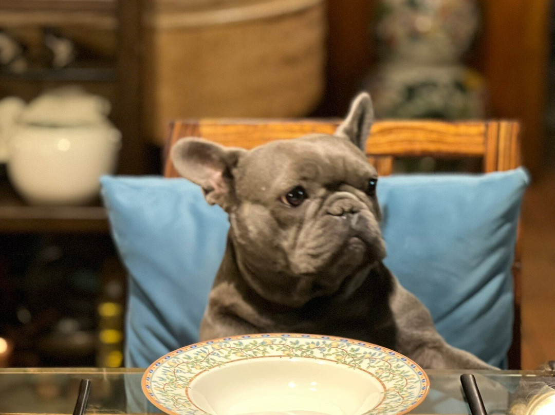 Pizza Da Rocco 苏禧