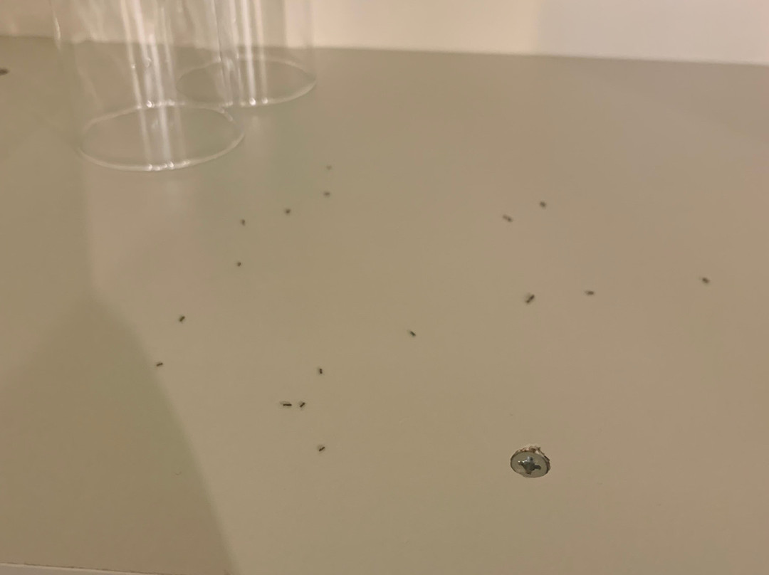 Vintage Suites Trikala主图