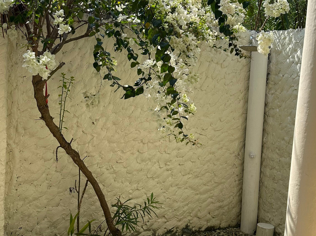 Holiday Home Kelaa主图