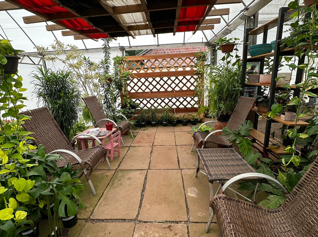 Floricultura Úrsula-Nova Petropolis必去景点