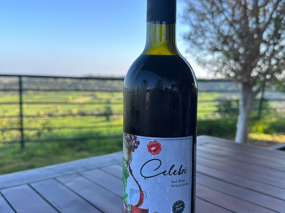 Celebi Garden Hotel主图