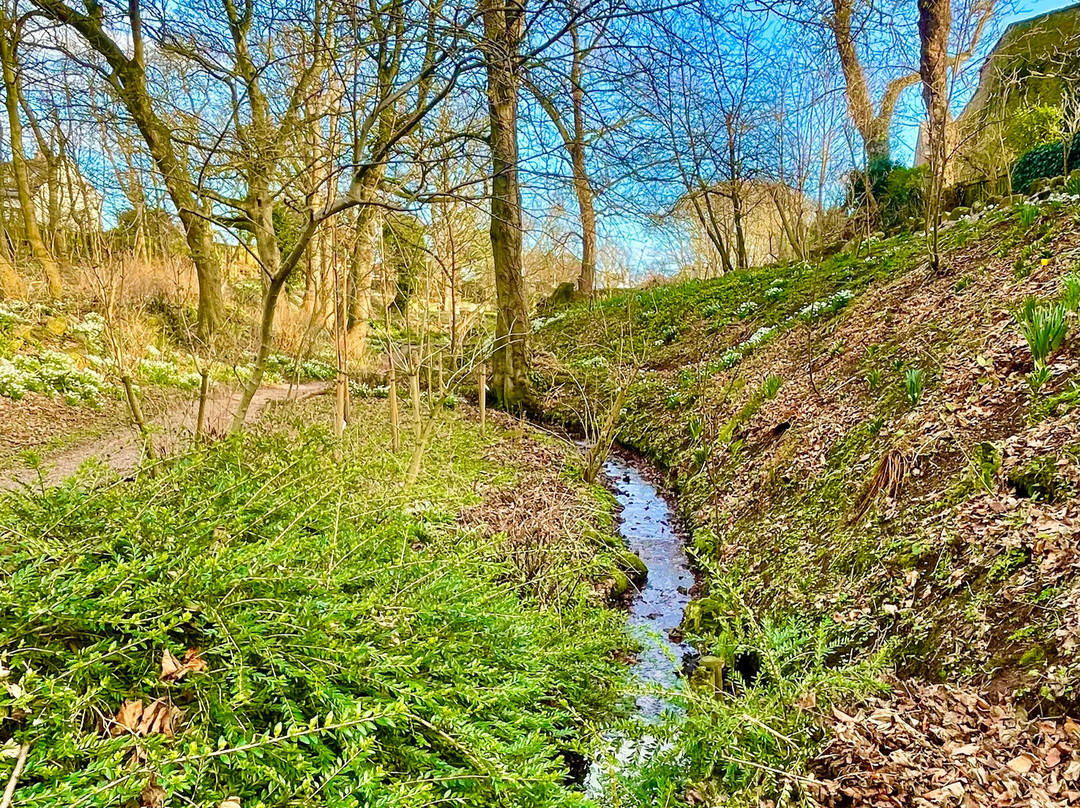 Denburn Wood-Crail必去景点