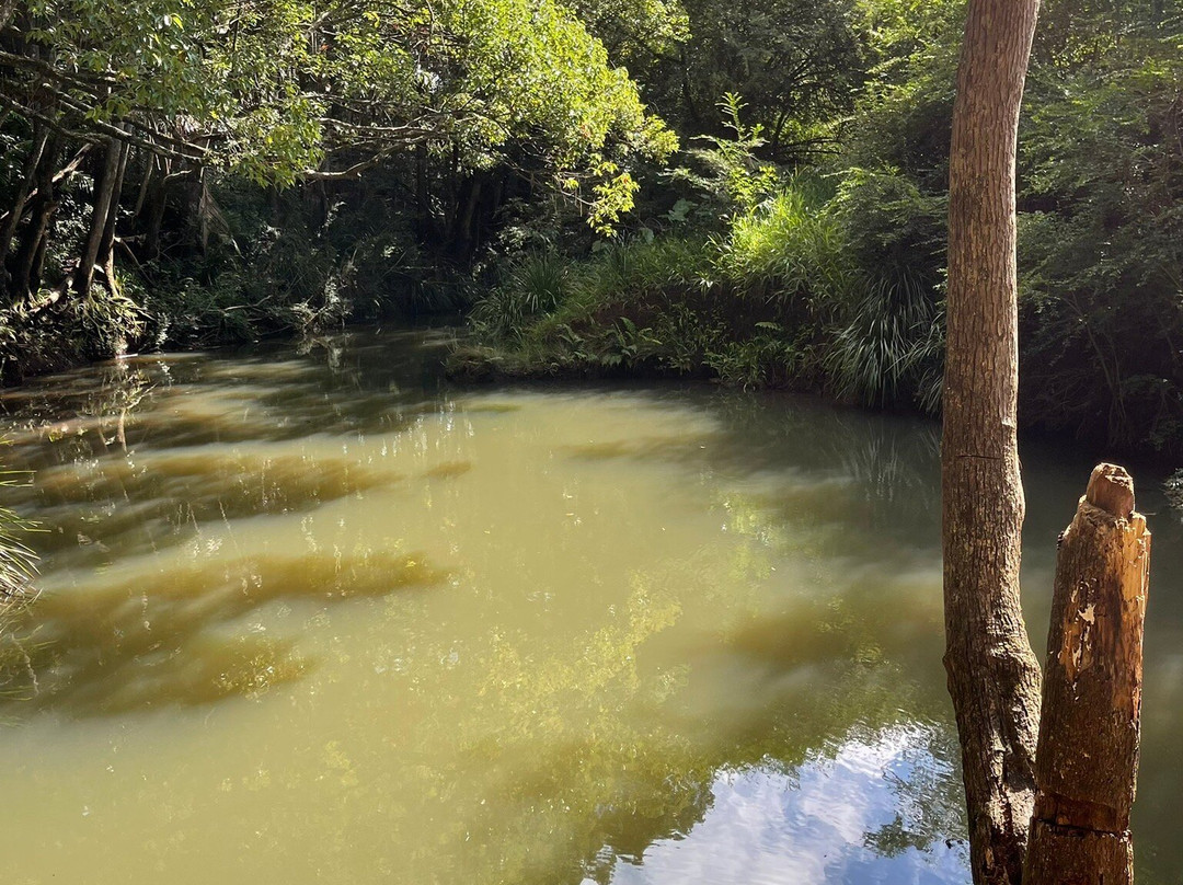 Bangalow Weir Parklands景点图片