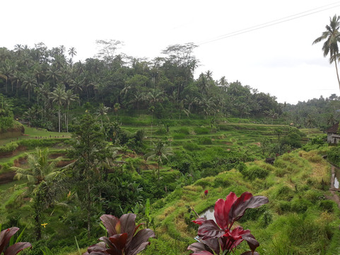 Bagus Holidays Bali - Day Tours-沙努尔必去景点