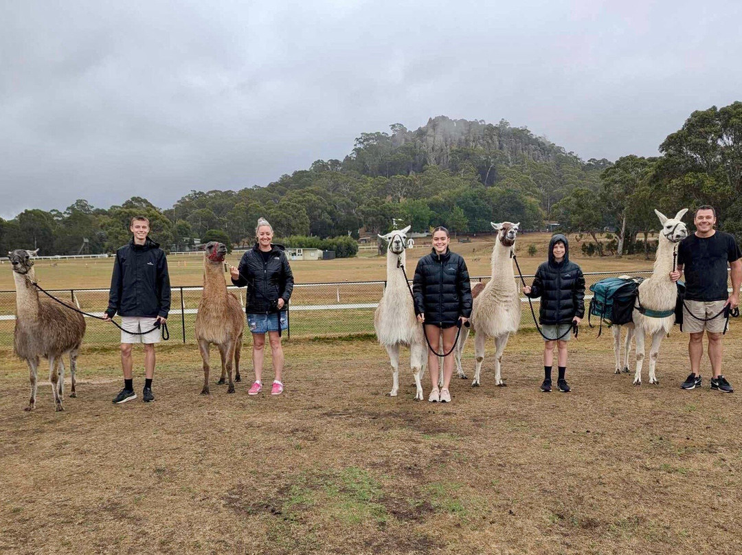 Hanging Rock Llama Treks-Woodend必去景点