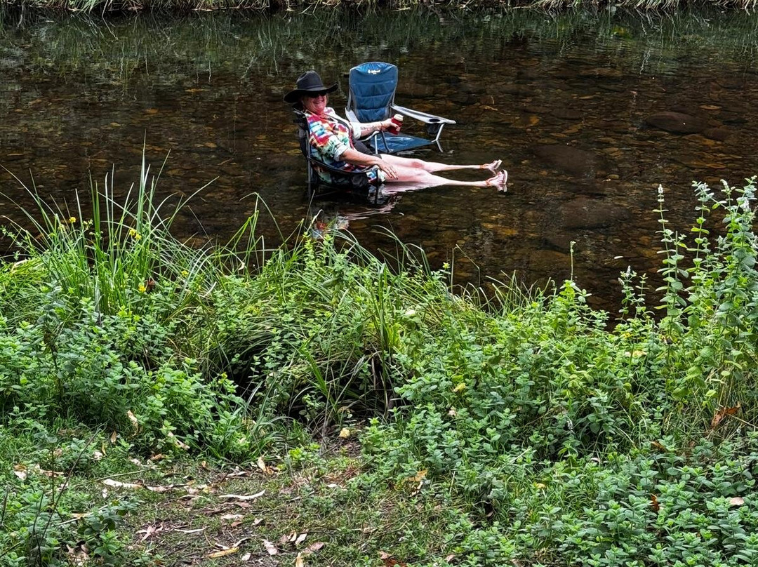 Buckle Up Bushrides-Merrijig必去景点