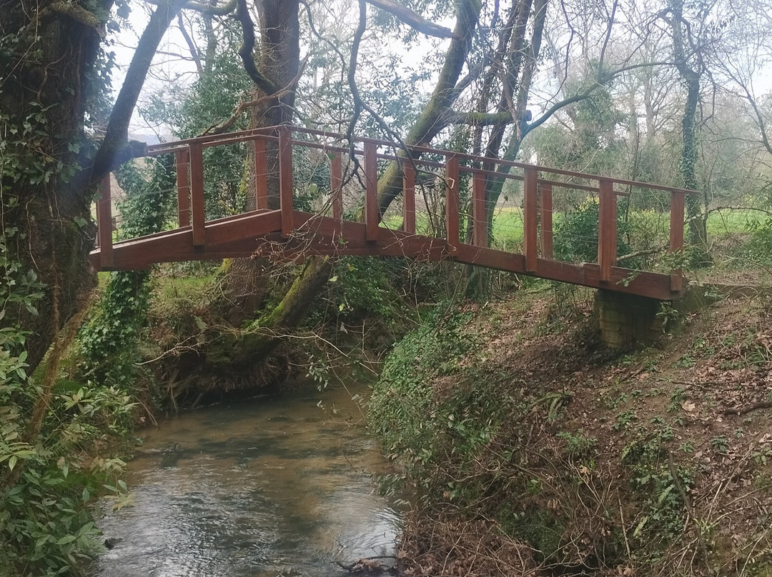 Parque Paleolitico de la Cueva del Valle景点图片