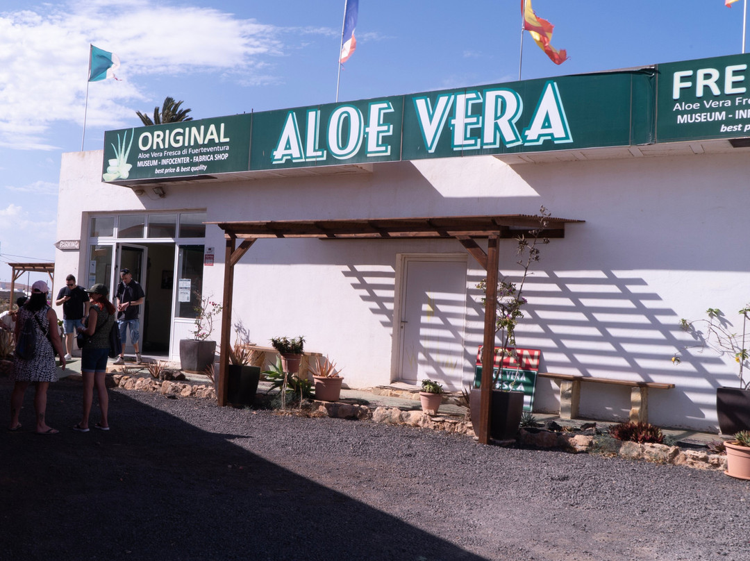 Aloe Vera museum景点图片