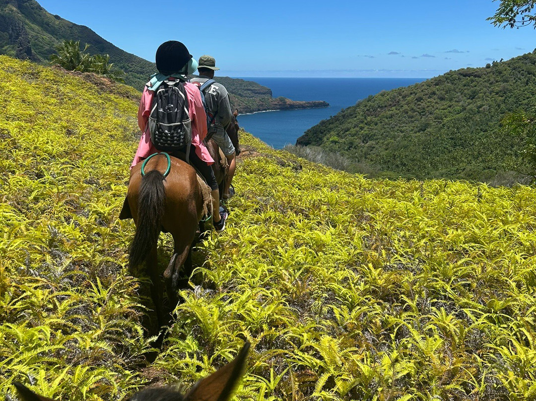Nuku-Hiva on horseback-Nuku Hiva必去景点