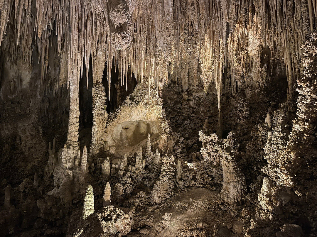 Carlsbad Caverns Natural Entrance Tour-卡尔斯巴德洞穴国家公园必去景点