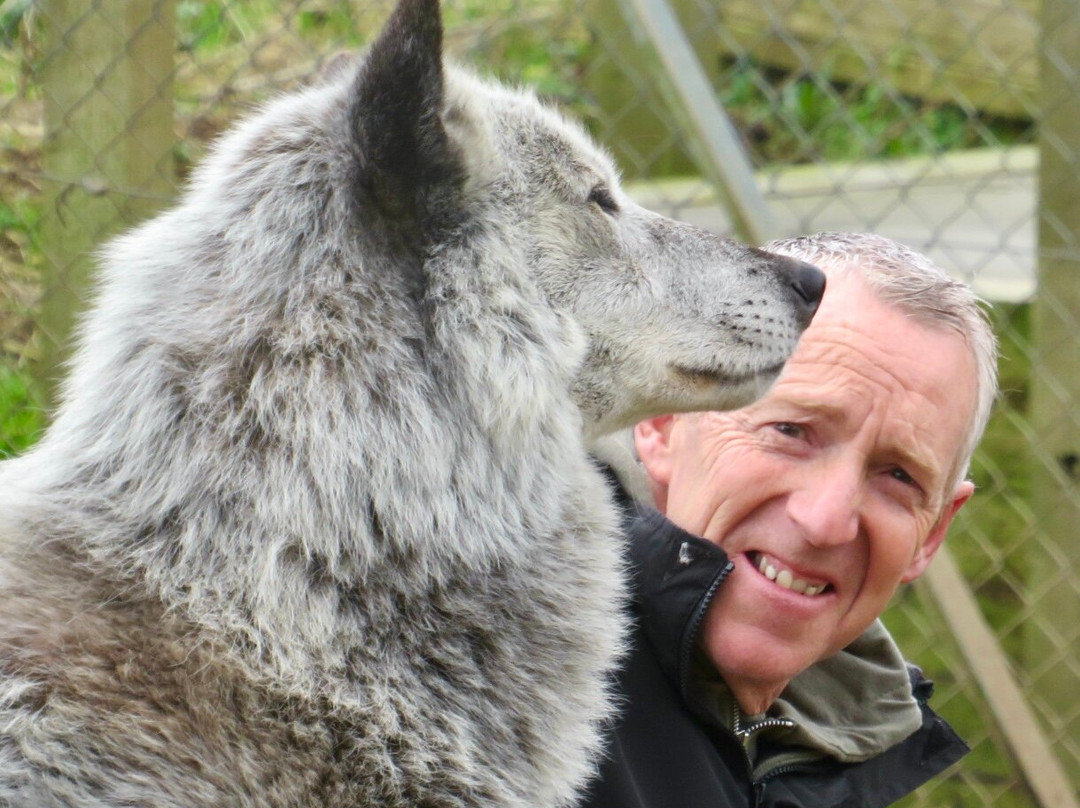 Wolves Of Wiltshire