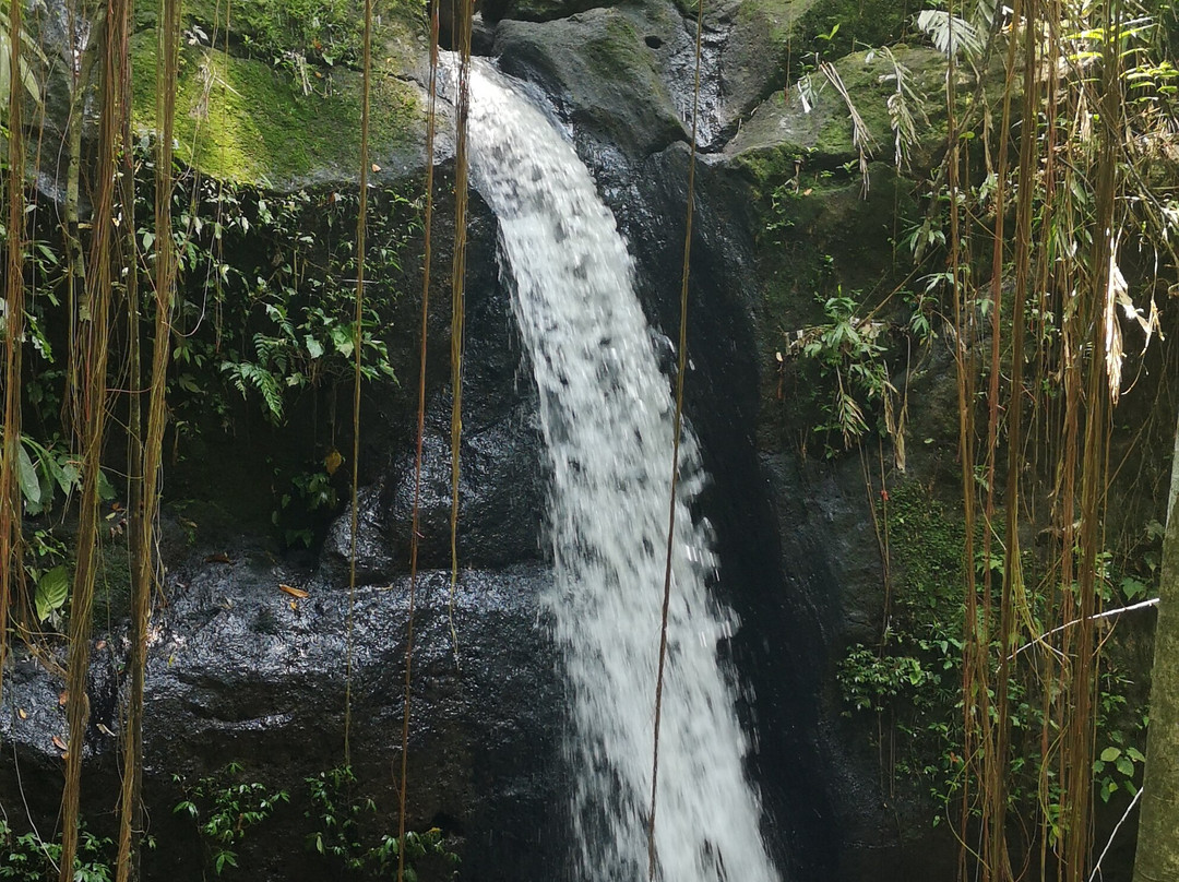 Bali Exotique-沙努尔必去景点