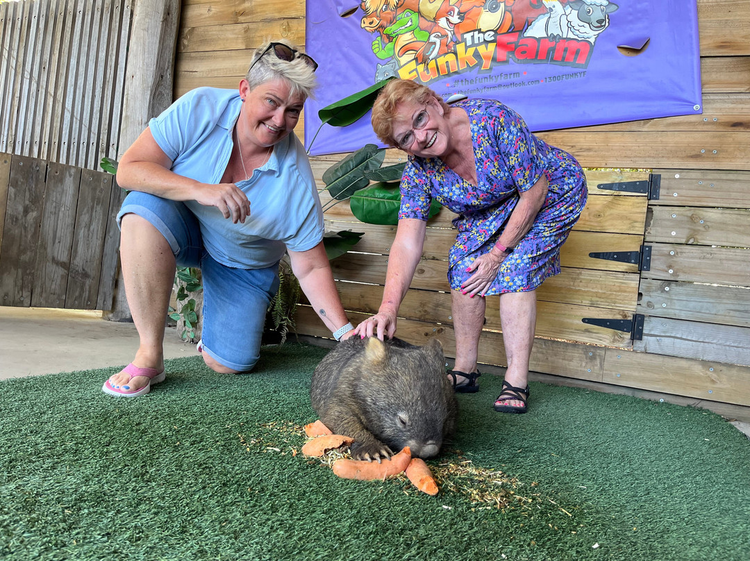 The Funky Farm-Hastings必去景点